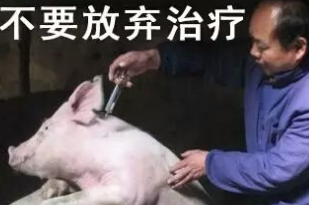 放弃治疗是什么意思：暗指一个人有病(患者无挽救机会)