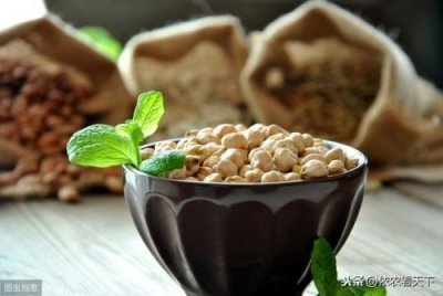 ​鹰嘴豆产地哪里最好？鹰嘴豆产地分布