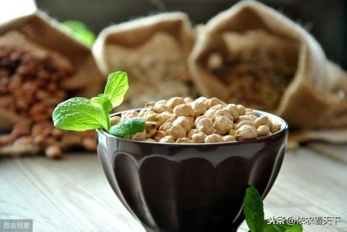 鹰嘴豆产地哪里最好？鹰嘴豆产地分布-第1张图片-