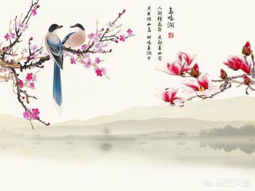 鸟鸣涧的意思古诗翻译  鸟鸣涧的意思20字-第1张图片-