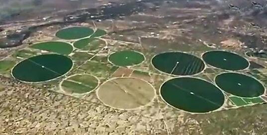 为什么中国不麦田怪圈 中国第一个麦田怪圈在哪?