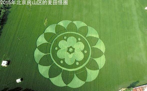 为什么中国不麦田怪圈 中国第一个麦田怪圈在哪?