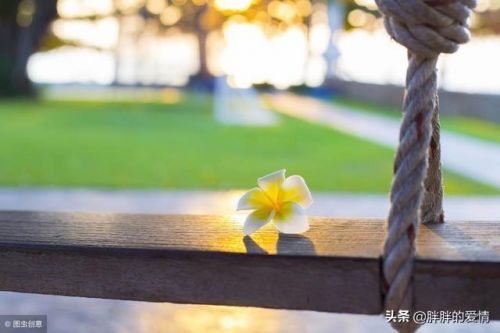 名言名句大全人生哲理(名言名句大全短句)-第1张图片-