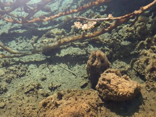 西安九寨沟自驾游攻略(西安九寨沟旅游攻略)-第1张图片-