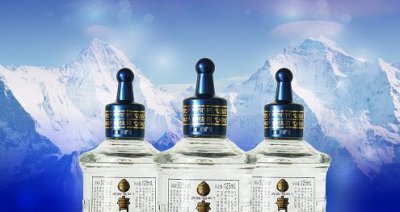 ​活分子多少钱