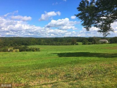 ​托马斯干红2006价格(托马斯袋鼠2017干红)