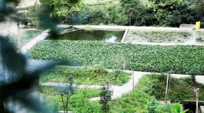 ​中国生态白酒第一品牌  中国生态白酒第一品牌是哪个