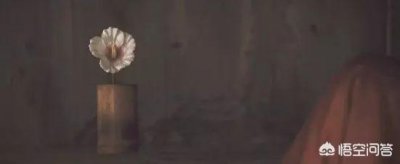 ​杠枣是什么意思？杠彴的意思