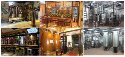 ​啤酒发酵酵母(啤酒发酵酵母出芽率的变化)