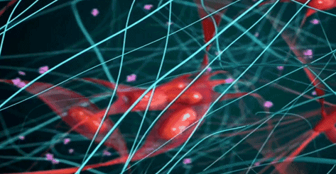 比龙虾还要贵7倍的海鲜,每年5人因它而死,藤壶配不配?