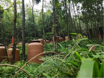 ​迎驾上品多少钱一瓶(迎驾上品42度500ml价格)