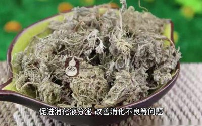 ​茵陈茶的功效与作用（茵陈茶的用途有哪些）