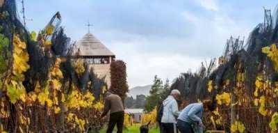 ​绾㈤厭 *** 杩囩▼鍥? 绾㈤厭 *** 宸ヨ壓娴佺▼鍥?/p>