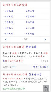 ​无什么可什么成语（无什么可什么成语有哪些）