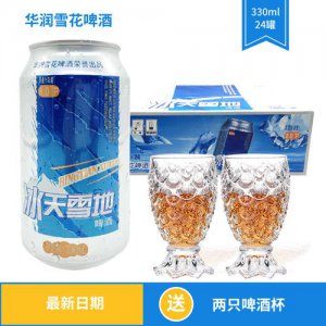 ​冰天雪地啤酒价格(冰天雪地啤酒多少钱)