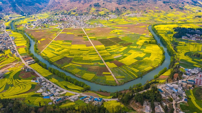 曲靖市有多少人口(曲靖各区县人口排名)