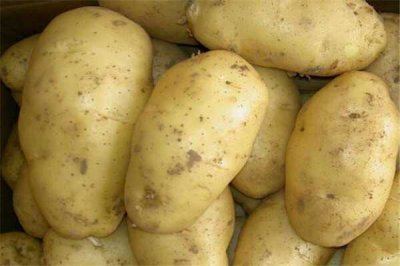 ​婴儿辅食土豆红薯能一起吃吗 易引发胀气/消化不良