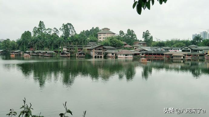 龙华区属于深圳哪个区(深圳龙华区怎么样)