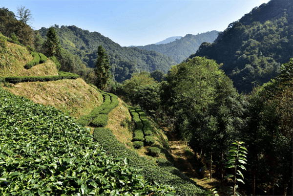 始兴自驾游去哪里好玩(始兴自驾游景点推荐)