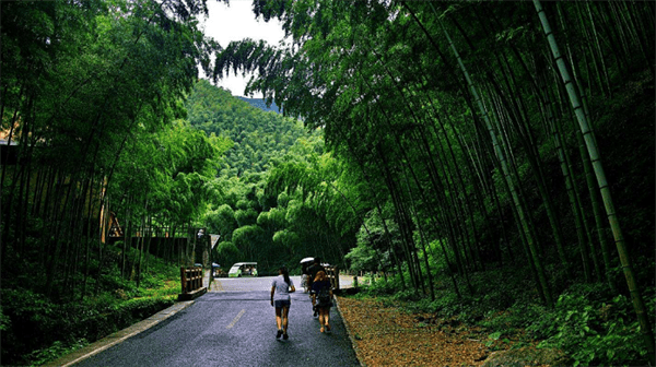 始兴自驾游去哪里好玩(始兴自驾游景点推荐)