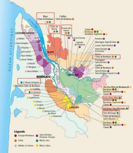 ​珍藏波尔多白葡萄酒(波尔多白葡萄酒品种)