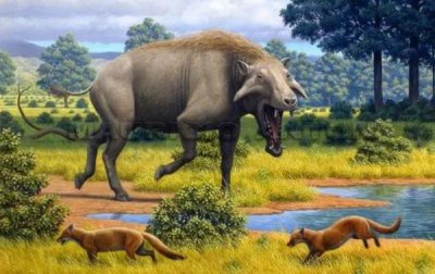 ​恐猪是什么动物 恐猪长什么样子（体型似犀牛/附图片）