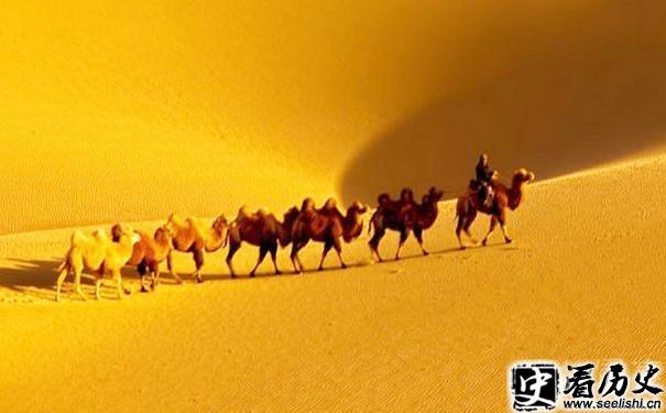 行走在丝绸之路上的驼队