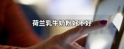 ​荷兰乳牛奶粉好不好