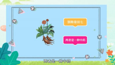 ​田七和三七有什么区别