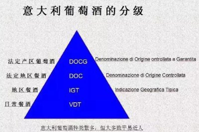 ​奔富明星庄1号价格(奔富明星庄1号的酒怎么样)