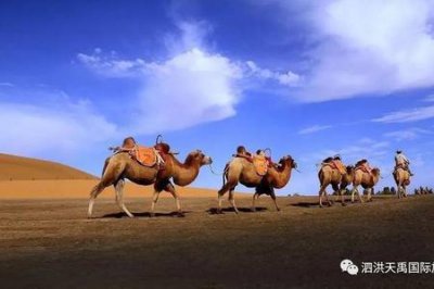 ​大漠最好听的十首歌