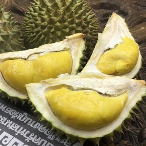 ​干尧榴莲优点缺点