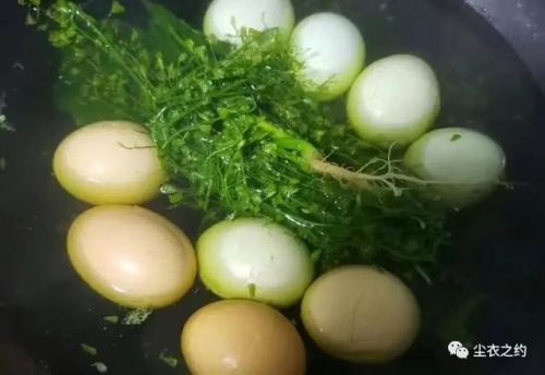 地米菜煮鸡蛋的作用与功效与副作用 地米菜煮鸡蛋的作用与功效禁忌-第1张图片-