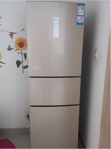 海尔冰箱型号一览表(海尔冰箱型号对照表图)-第1张图片-