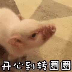 黑龙江自考成绩查询系统入口(黑龙江自考成绩查询时间)-第2张图片-