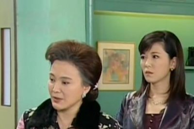 ​再续意难忘天助珊妮大结局