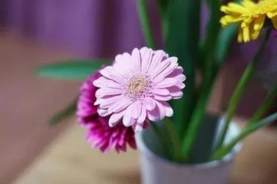 ​赞美女人能干的句子（致女人努力奋斗的句子）