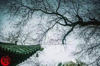 ​元好问：仕途坎坷