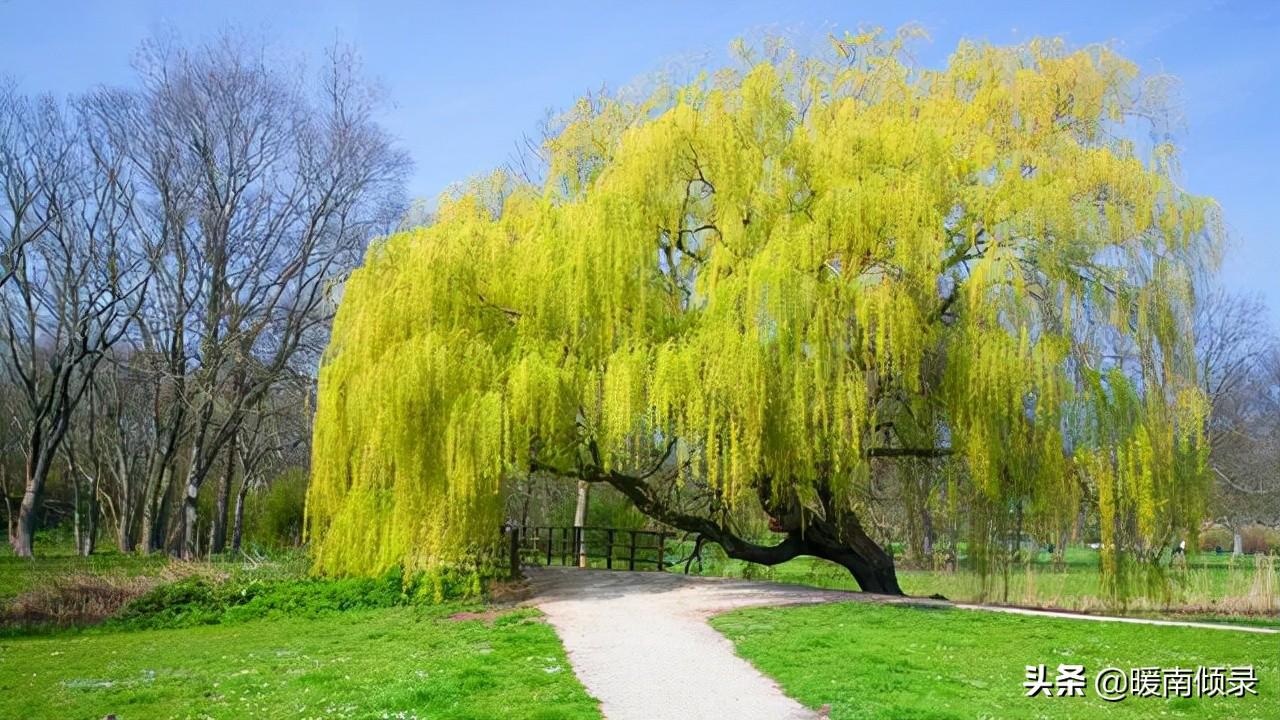 人死不撞七是好兆头(撞七好还是不撞七好)