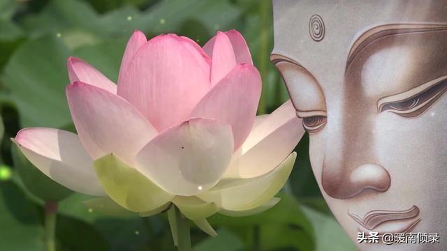 人死不撞七是好兆头(撞七好还是不撞七好)
