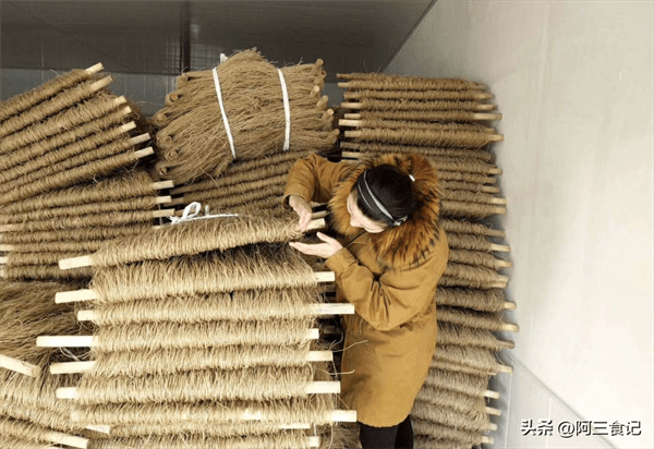 粉条泡了三天还能吃吗(粉条泡久了会怎么样)