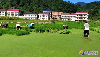 ​坪上镇属于哪个县(坪上镇有多少个村)