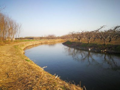 ​保定一亩泉河(一亩泉河源头在哪)