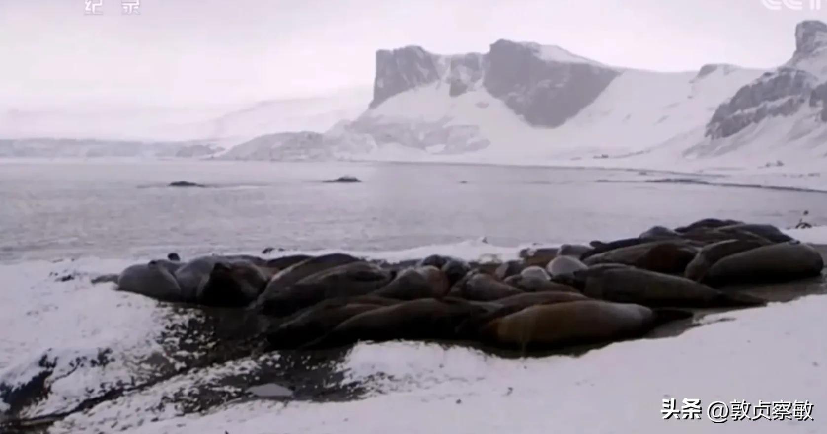 面积最小的大洋(四大洋中面积最小的是哪个)