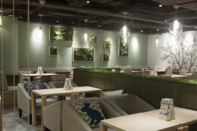 ​仙踪林官方网站入口