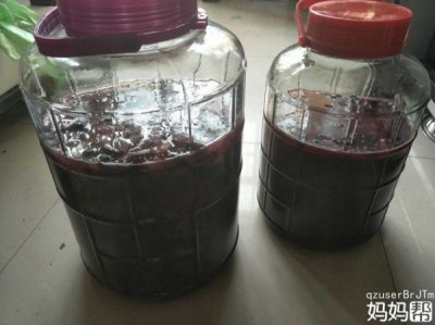 ​做葡萄酒的教程(葡萄酒几天能发酵好)