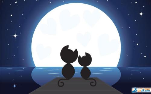 说说情人节的搞笑段子