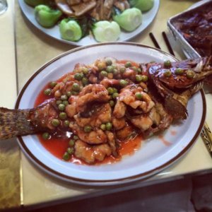 ​粤宴酒价格表(粤宴海鲜酒楼)