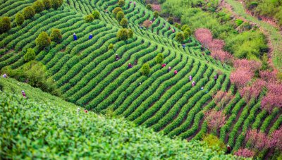 ​安吉好玩的地方自驾游