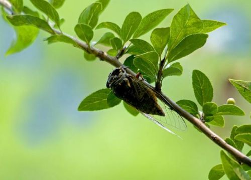 秋分的诗句(关于秋分的诗句)-第2张图片-